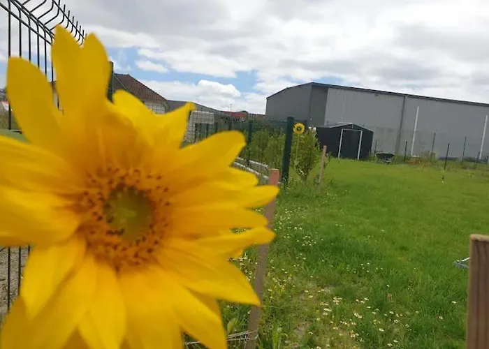 Calme Dans Maison Neuve Avec Jardin Accommodatie bij particulieren